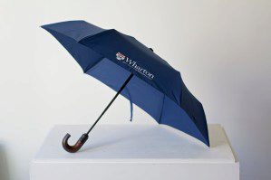 Umbrella-299x199